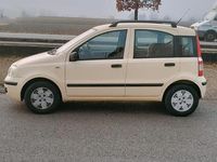Usata Fiat Panda 2009 Giallo Utilitaria