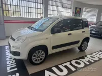 Usata Fiat Panda 4x4 Pop 85 CV (62 kW) 2020 Bianco Utilitaria