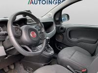 Usata Fiat Panda Cross Cross 70 CV (51 kW) 2020 Grigio Utilitaria