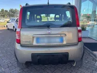 Usata Fiat Panda 4x4 Climbing 69 CV (50 kW) 2011 Oro Utilitaria