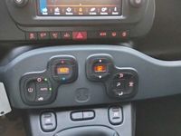 usata Fiat Panda 1.0 Nuova a KM0