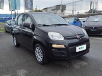 usata Fiat Panda 1.2 69cv E6 Easy