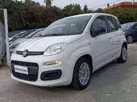 Usata Fiat Panda Easy 95 CV (69 kW) 2016 Bianco Utilitaria
