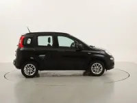 Usata Fiat Panda Lounge 69 CV (50 kW) 2021 Neronero Utilitaria