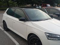 Usata Skoda Fabia 2020 Utilitaria