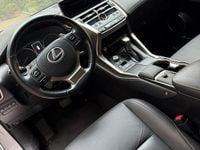 Usata Lexus NX300 249 CV (183 kW) 2020 Grigio SUV