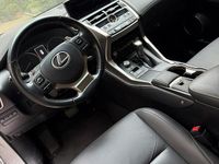 Usata Lexus NX300 2020 Grigio SUV