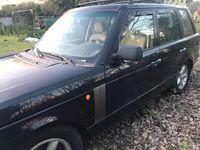 usata Land Rover Range Rover Range Rover 3.0 Td6 SE