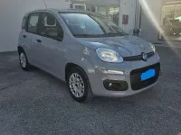Usata Fiat Panda Easy 69 CV (50 kW) 2019 Grigio Utilitaria