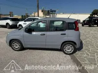 Usata Fiat Panda S 69 CV (50 kW) 2022 Giallo Utilitaria