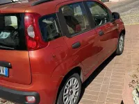 Usata Fiat Panda 69 CV (50 kW) 2013 Utilitaria