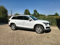 Usata Skoda Kodiaq 150 CV (110 kW) 2022 Bianco SUV