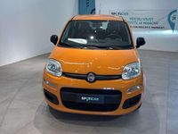 Usata Fiat Panda Easy 69 CV (50 kW) 2019 Arancione Utilitaria