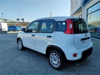 usata Fiat Panda 1.0 70cv Firefly Hybrid "KMZERO" "NEOPATENTATI"