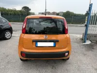 Usata Fiat Panda 69 CV (50 kW) 2018 Arancione Utilitaria