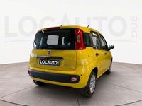 Nuova Fiat Panda S 69 CV (50 kW) 2026 Giallo Utilitaria