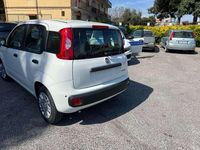 Nuova Fiat Panda Icon 69 CV (50 kW) 2025 Bianco Utilitaria