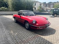 usata Alfa Romeo Spider 1.6 terza serie