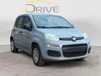 Usata Fiat Panda Easy 69 CV (50 kW) 2019 Grigio Berlina