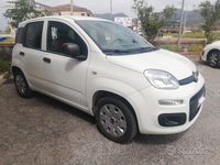 Usata Fiat Panda 69 CV (50 kW) 2019 Bianco Utilitaria