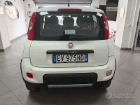 Usata Fiat Panda 4x4 S 75 CV (55 kW) 2014 Bianco Utilitaria