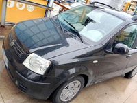 Usata Fiat Panda 60 CV (44 kW) 2008 Utilitaria