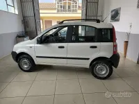 Usata Fiat Panda 4x4 Active 60 CV (44 kW) 2010 Bianco Utilitaria