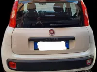 Usata Fiat Panda 95 CV (69 kW) 2017 Utilitaria