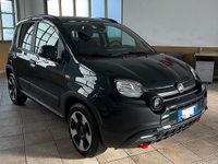 Usata Fiat Panda Cross Cross 71 CV (52 kW) 2024 Verde Utilitaria