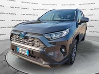 usata Toyota RAV4 Hybrid 