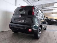 Nuova Fiat Panda Cross Cross 65 CV (47 kW) 2026 Verde Utilitaria