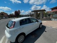 usata Fiat Punto Evo benzina 5 porte neopatentati