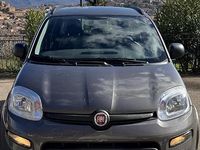 Usata Fiat Panda 4x4 85 CV (62 kW) 2020 Grigio Utilitaria