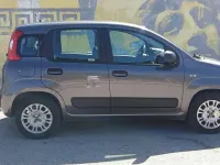Usata Fiat Panda Easy 69 CV (50 kW) 2018 Grigio Utilitaria