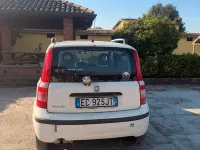 Usata Fiat Panda 60 CV (44 kW) 2010 Giallo Utilitaria