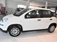 usata Fiat Panda 1.0 70CV HYBRID