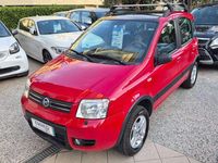 Usata Fiat Panda 4x4 Climbing 69 CV (50 kW) 2007 Rosso Utilitaria