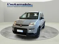 Usata Fiat Panda 4x4 S 86 CV (63 kW) 2019 Grigio Utilitaria