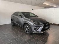 usata Lexus NX300 300 2.5 Hybrid F-Sport 4WD CVT