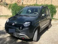 Usata Fiat Panda Cross Cross 90 CV (66 kW) 2015 Verde Utilitaria