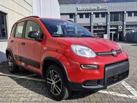 Usata Fiat Panda 4x4 S 86 CV (63 kW) 2019 Rosso Utilitaria