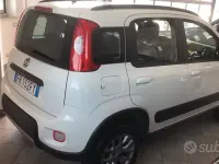 Usata Fiat Panda 4x4 S 85 CV (62 kW) 2017 Bianco Utilitaria