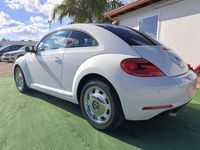 usata VW Beetle NewCoccinelle 1.6 TDI Design