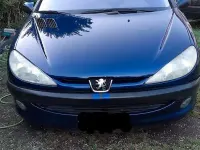 Usata Peugeot 206 75 CV (55 kW) 2002 Bluazzurro Berlina