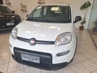 Begagnad Fiat Panda Easy 70 HK (51 kW) 2021 Vit Halvkombi
