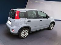 Usata Fiat Panda S 69 CV (50 kW) 2022 Grigio Utilitaria