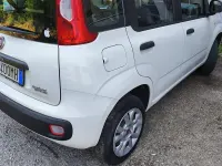 Usata Fiat Panda 85 CV (62 kW) 2013 Bianco Utilitaria
