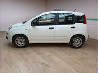 usata Fiat Panda 1.0 FireFly S&S Hybrid Easy usato