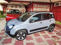 Usata Fiat Panda Cross Cross 69 CV (50 kW) 2021 Grigio Utilitaria