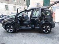 usata Fiat Panda Cross 1.0 FireFly S&S Hybrid City usato